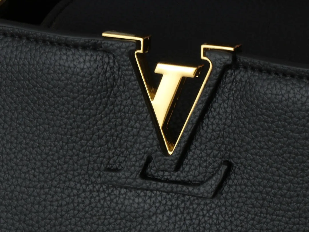 LV Capucines GM Souple Handbag
