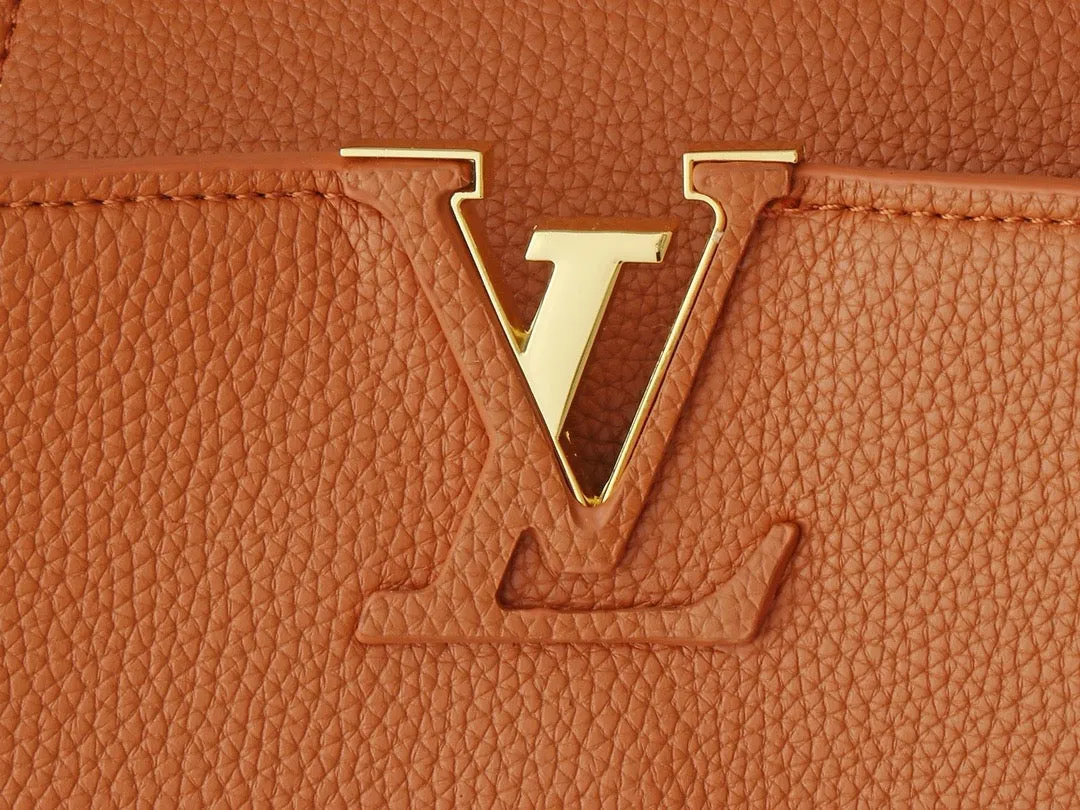 LV Capucines GM Souple Handbag