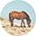 Zip Clutch -- Horse Multi